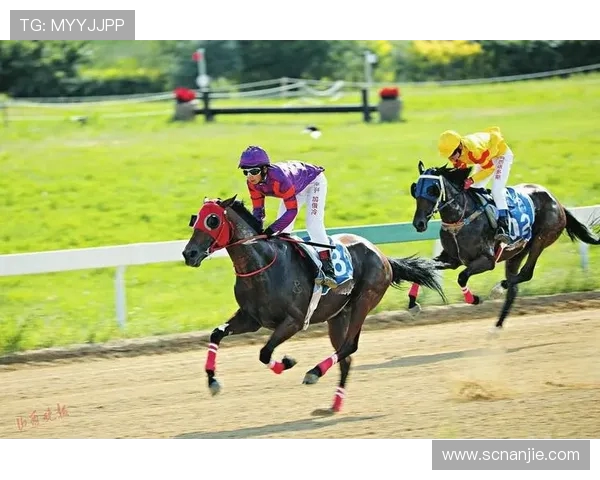 上海网球队的崛起之路：洲际杯背后的奋斗与荣耀