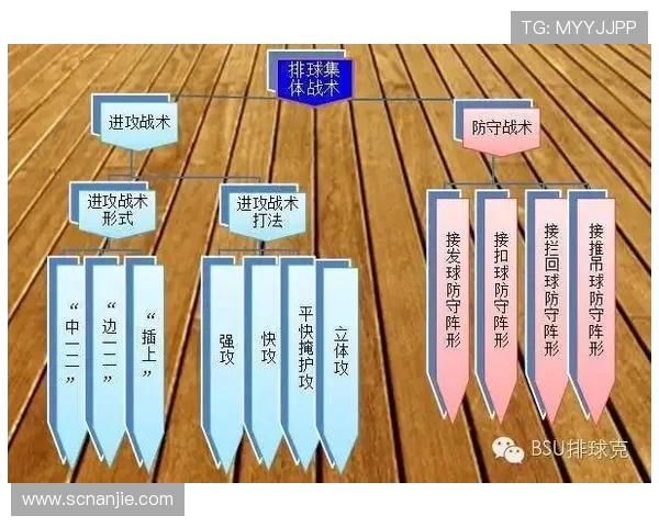 杭州排球队在奥运会上的意识表现与战术分析探讨